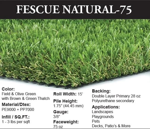Turf Fescue Natural-75