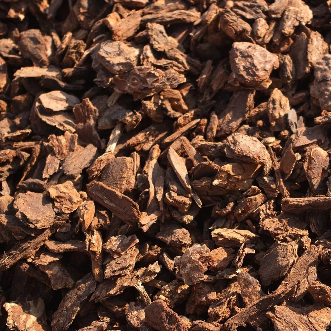 Fir Bark 2"