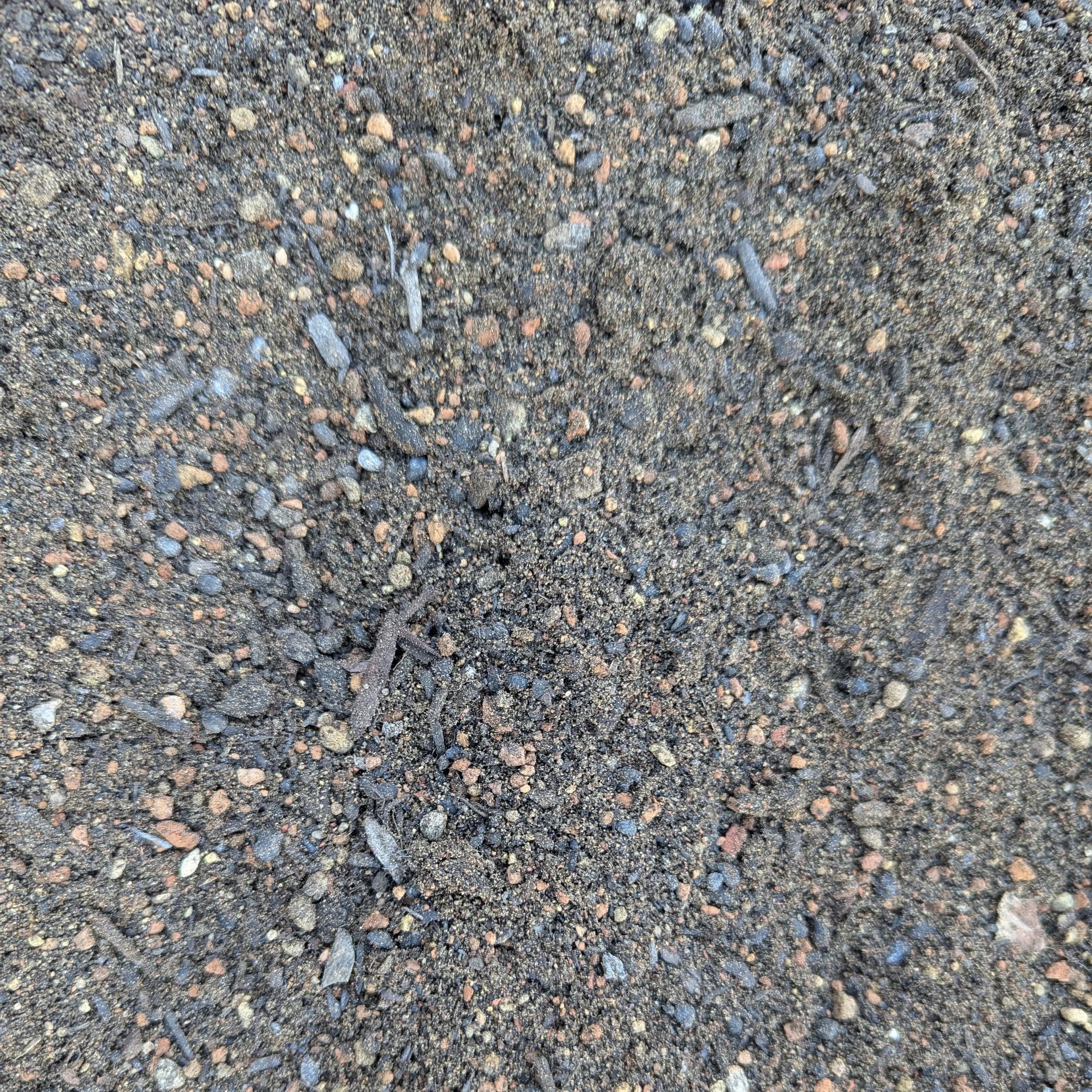 Soil & Compost